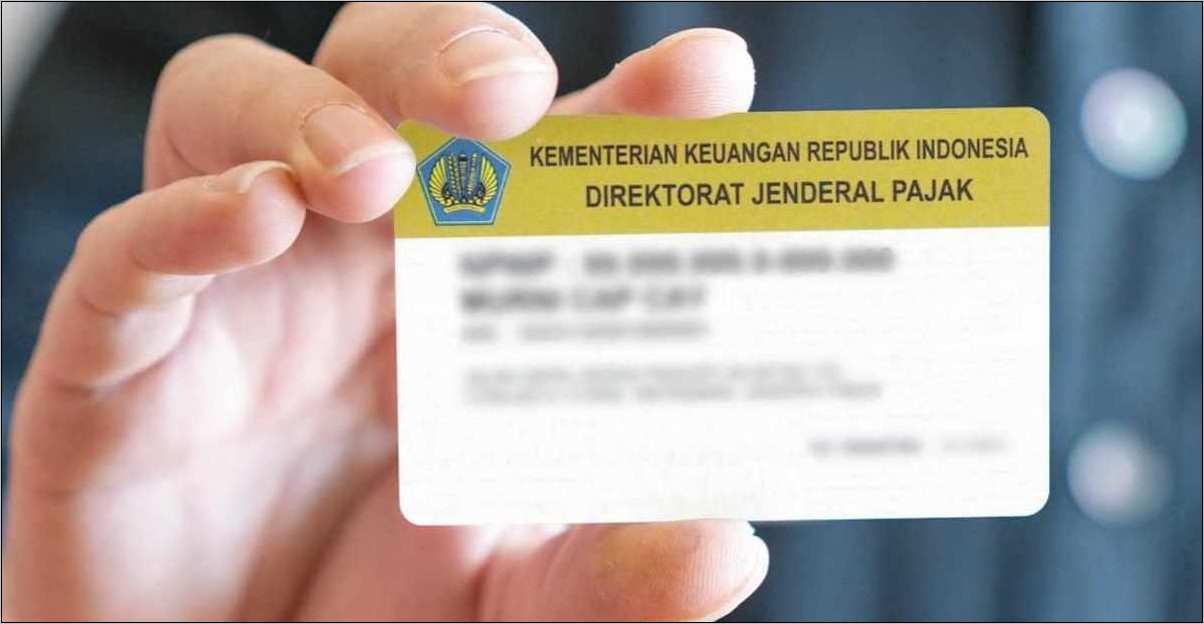 Contoh Pernyataan Surat Npwp Mencari Kerja