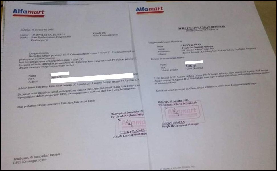 Contoh Surat Keterangan Kerja Alfamart Doc