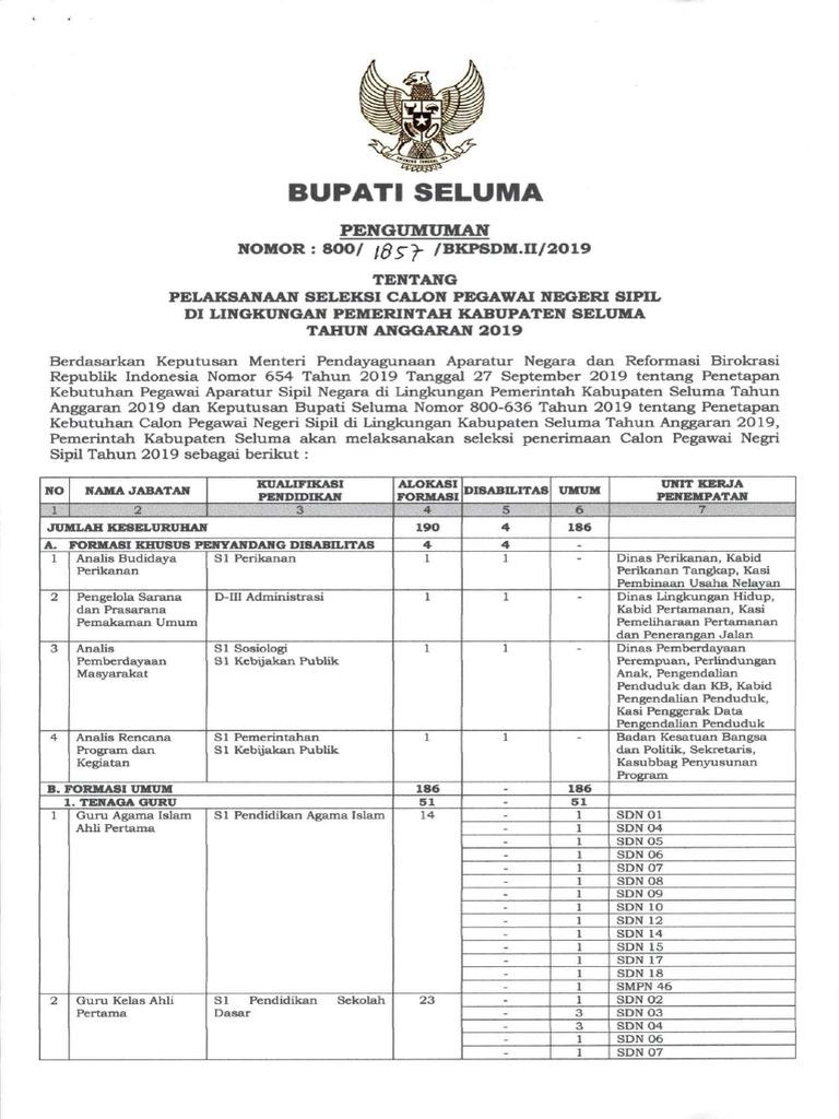 Contoh Surat Lamaran Cpns Kabupaten Seluma
