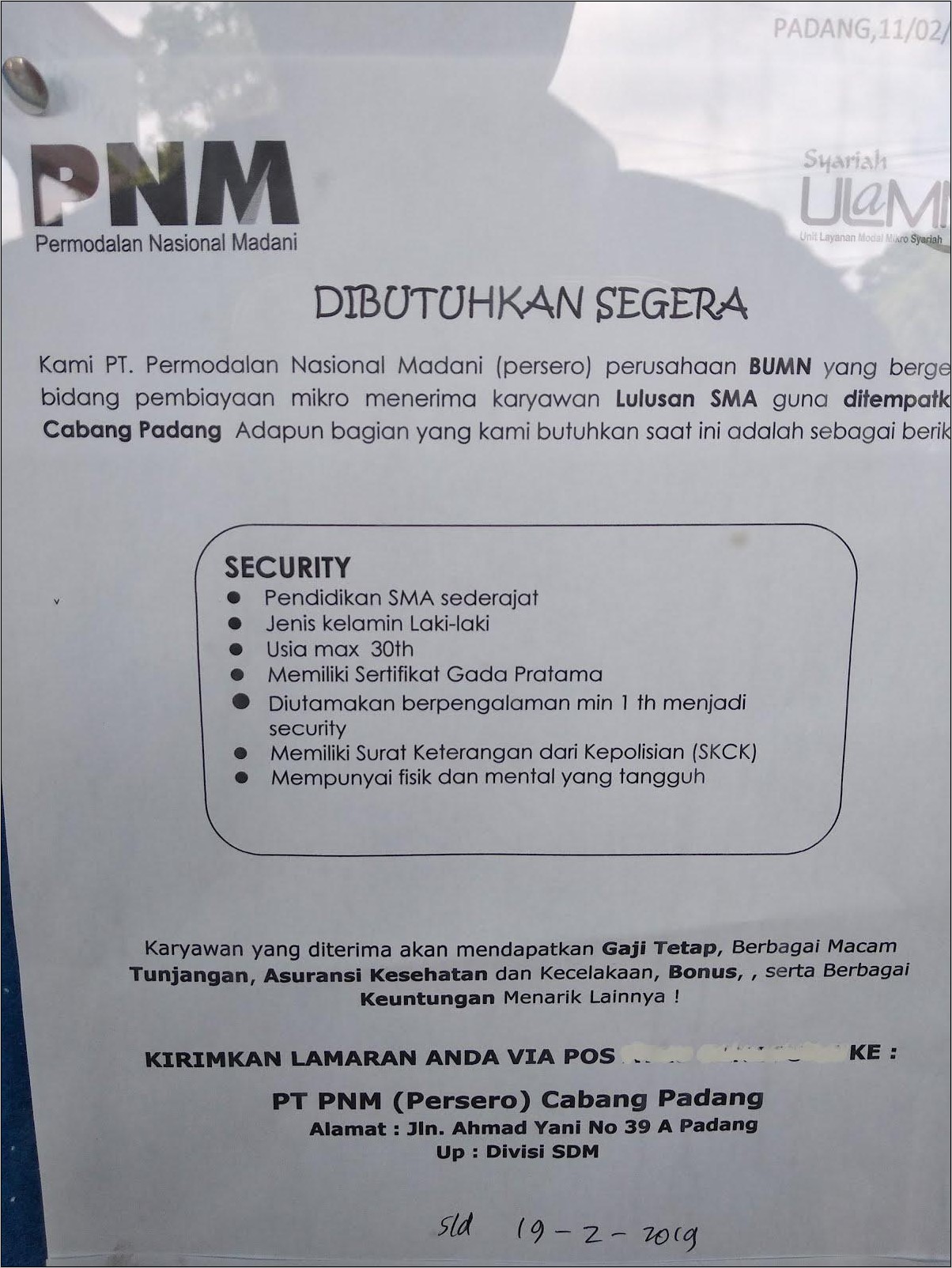 Contoh Surat Lamaran Kerja Di Pt Pnm