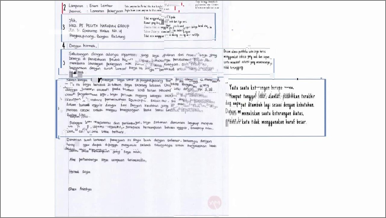 Contoh Surat Lamaran Kerja Mela