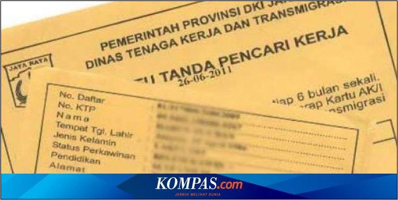 Contoh Surat Pengantar Verifikasi Pengalaman Kerja