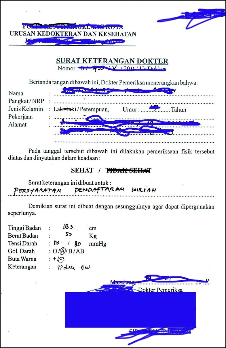 Contoh Surat Keterangan Dokter Tidak Buta Warna