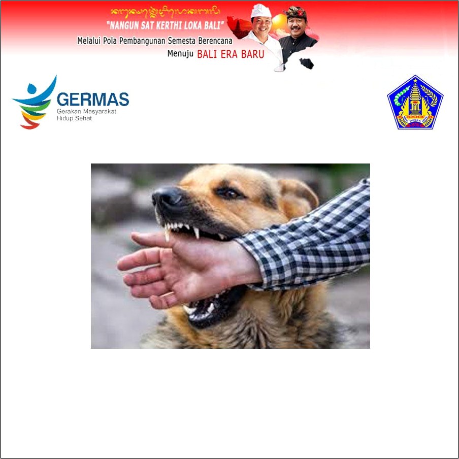 Contoh Surat Keterangan Vaksinasi Rabies Pada Hewan