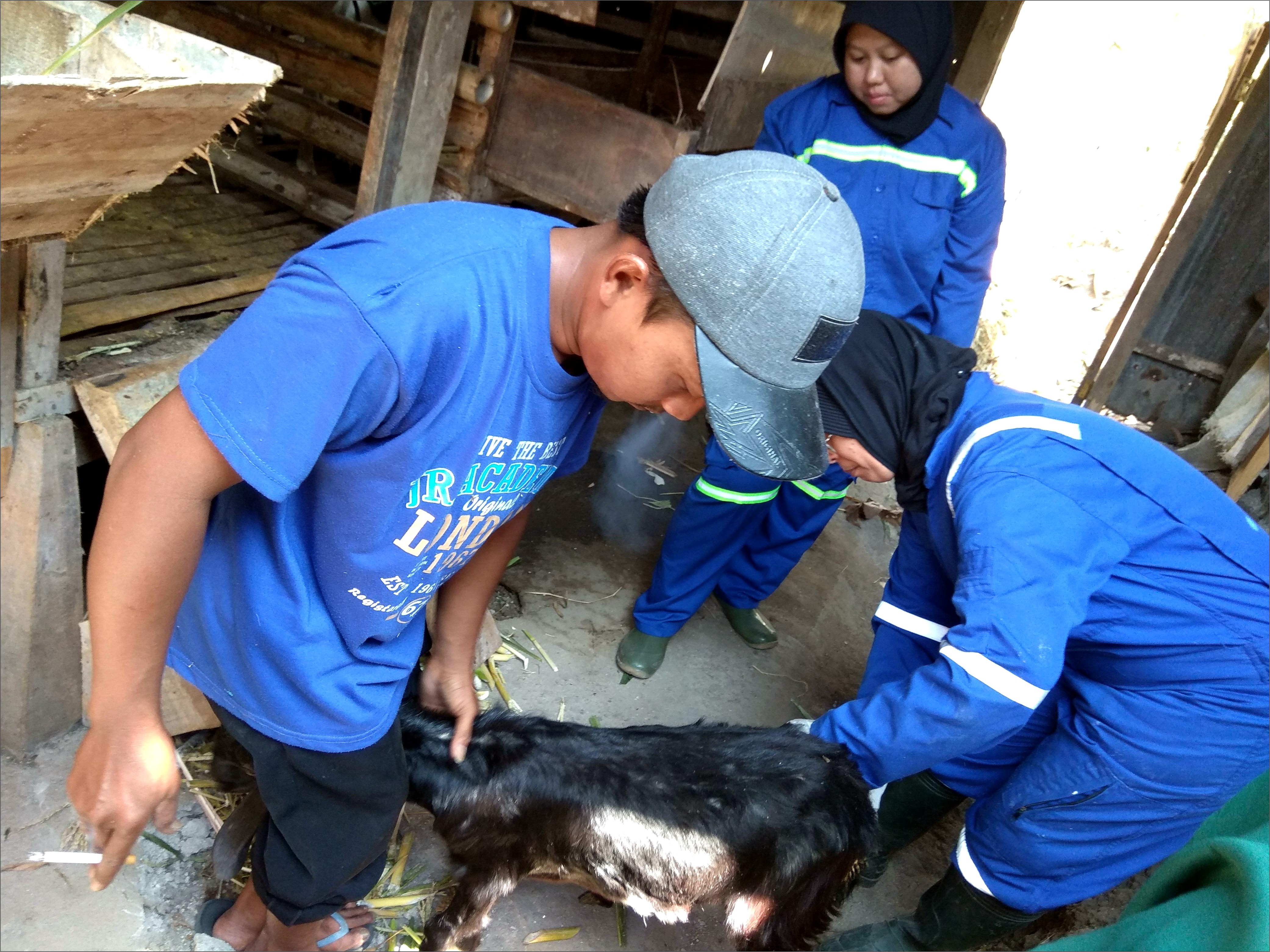Contoh Surat Permohonan Bantuan Hewan Kurban Ke Dinas