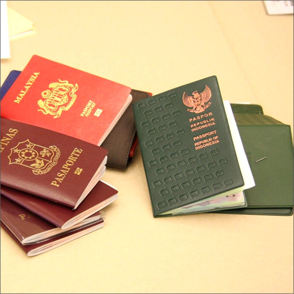Contoh Surat Permohonan E Paspor Baru