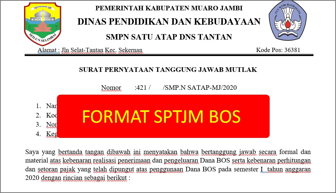 Contoh Surat Pernyataan Kebenaran Informasi