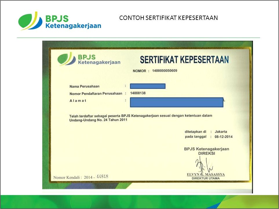 Contoh Surat Permohonan Penggantian Sertifikat Bpjs Ketenagakerjaan