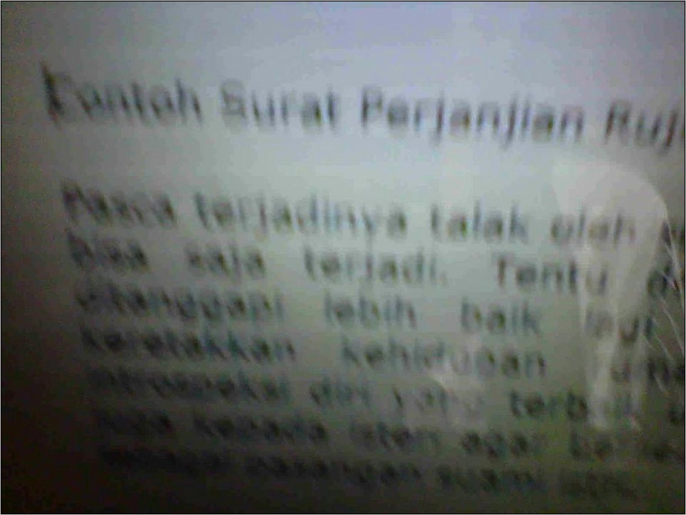 Contoh Surat Pernyataan Tidak Mau Kawin Lagi Dengan Suami