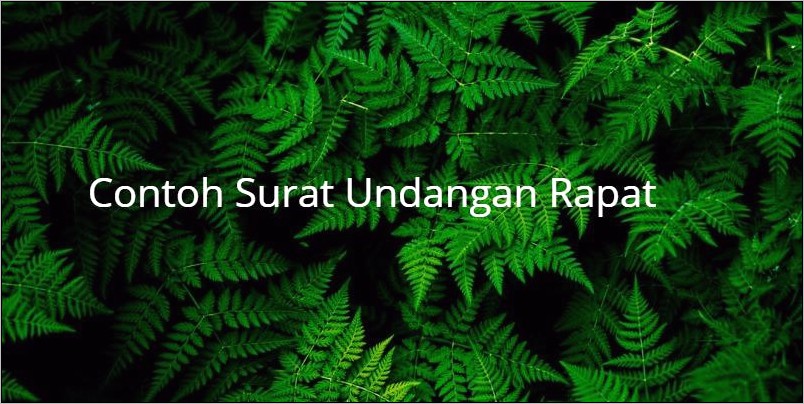 Contoh Surat Undangan Rapat Pengurus Organisasi